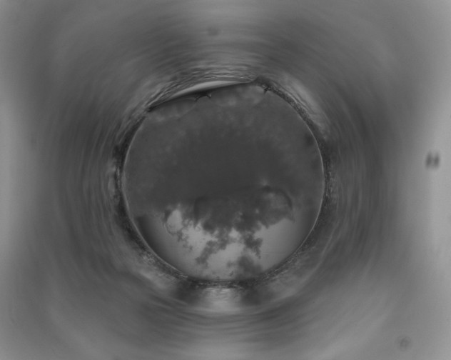X0000091210169200708091354