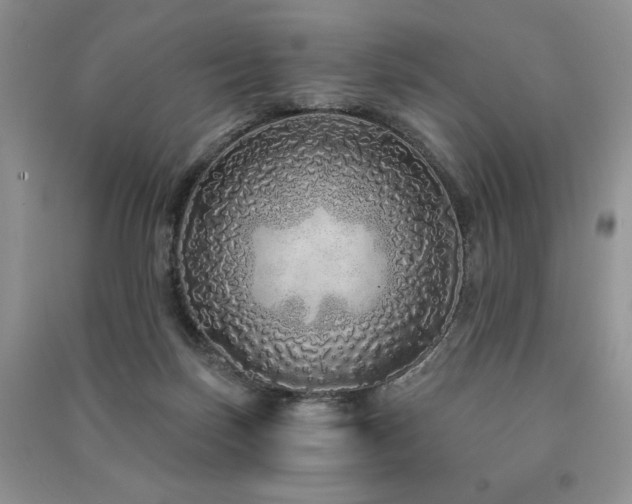 X0000091210171200708091354