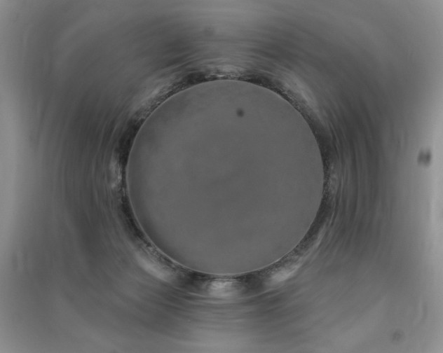 X0000091210173200708091354