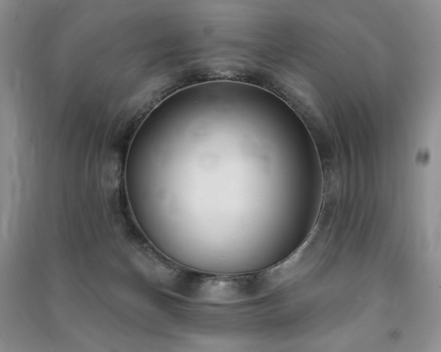 X0000091210174200708091354