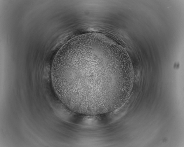 X0000091210175200708091354