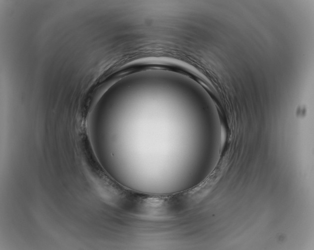 X0000091210176200708091354