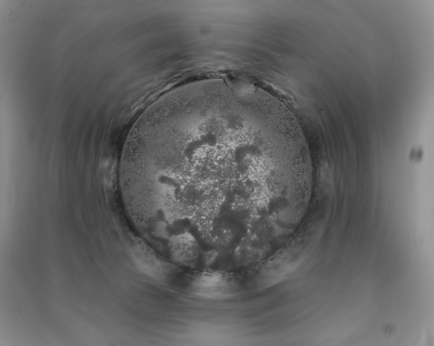 X0000091210177200708091354