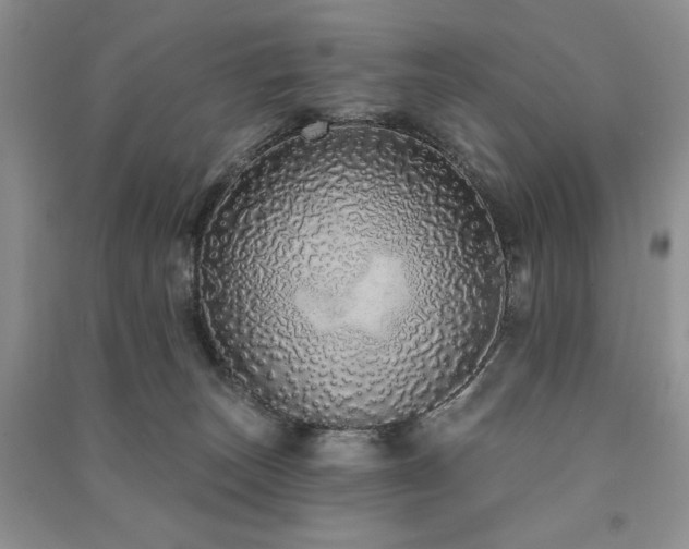 X0000091210179200708091354