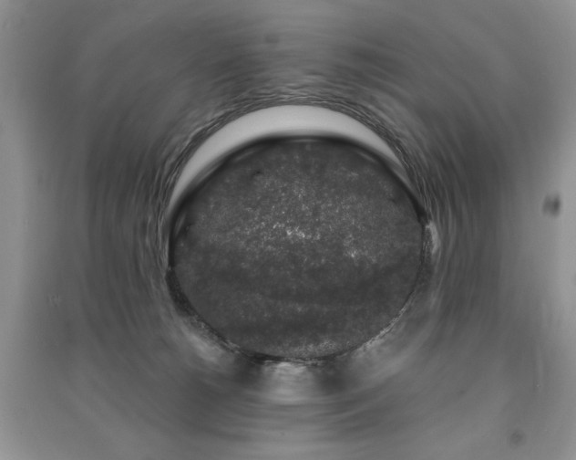 X0000091210180200708091354