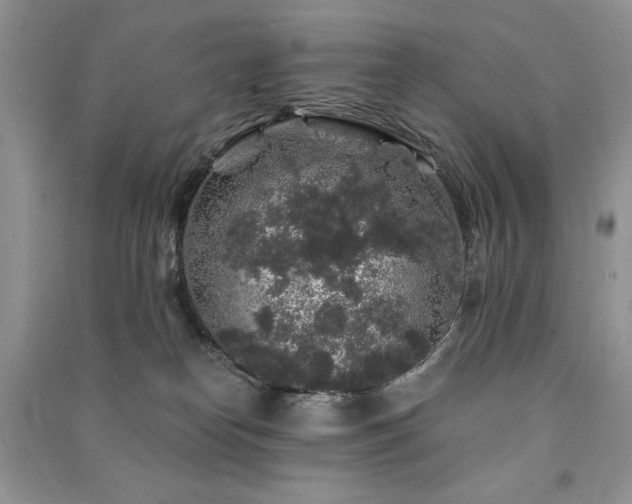 X0000091210182200708091354