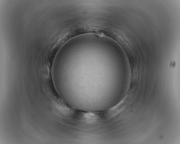X0000091210183200708091354