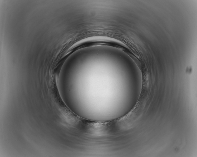 X0000091210184200708091354