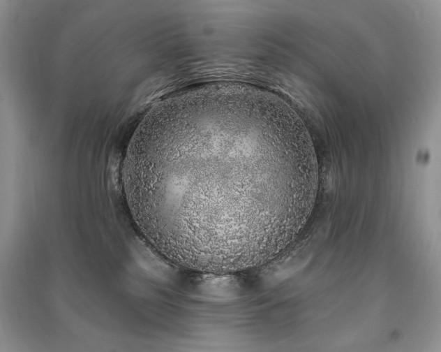 X0000091210185200708091354