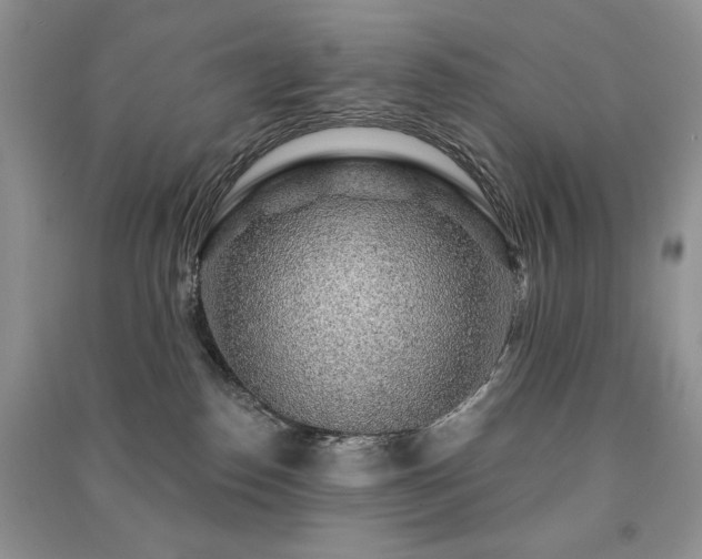 X0000091210186200708091354