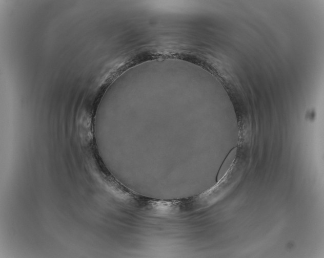 X0000091210187200708091354