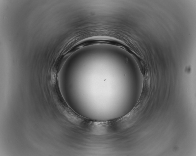 X0000091210188200708091354