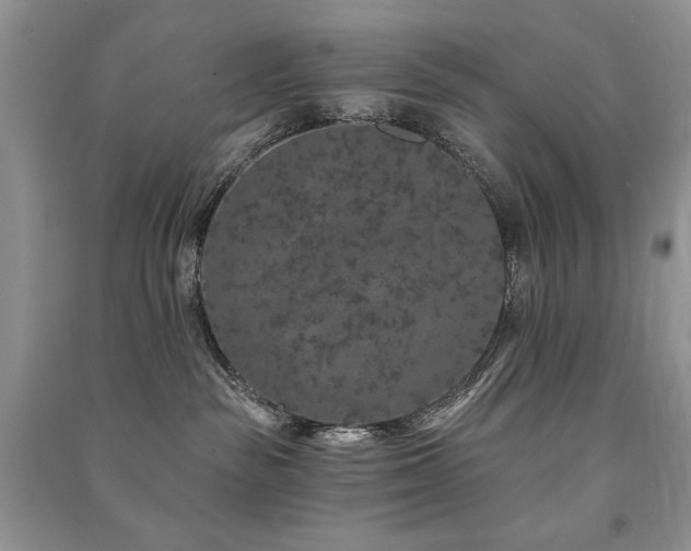 X0000091210189200708091355