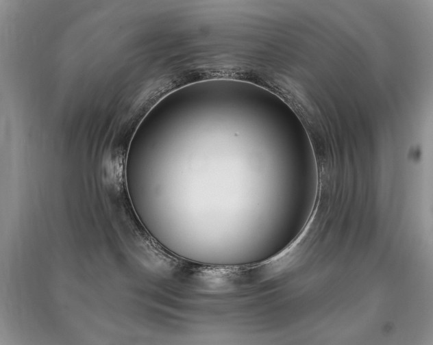 X0000091210190200708091355