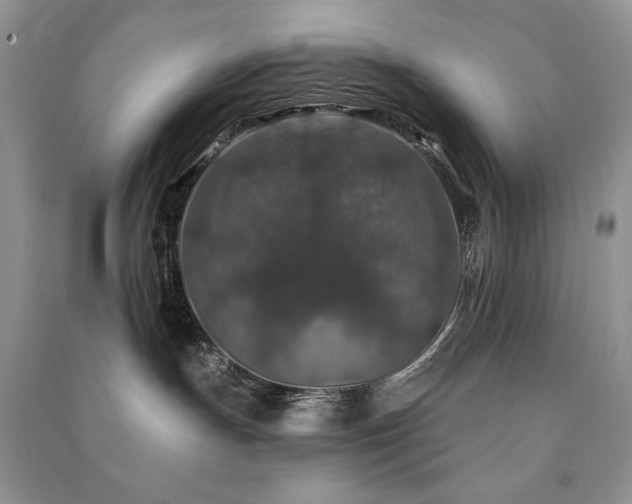 X0000091210191200708091355
