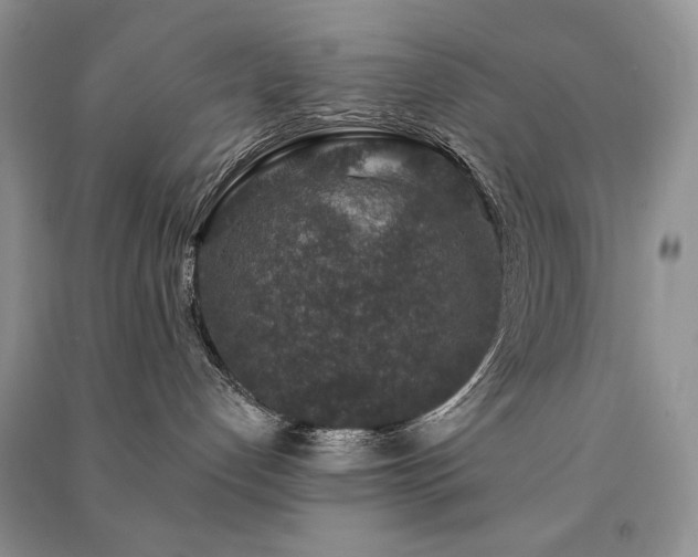 X0000091210192200708091355