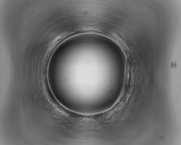 X0000091210193200708091354