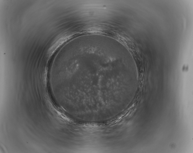 X0000091210194200708091354