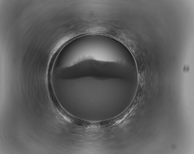 X0000091210196200708091354
