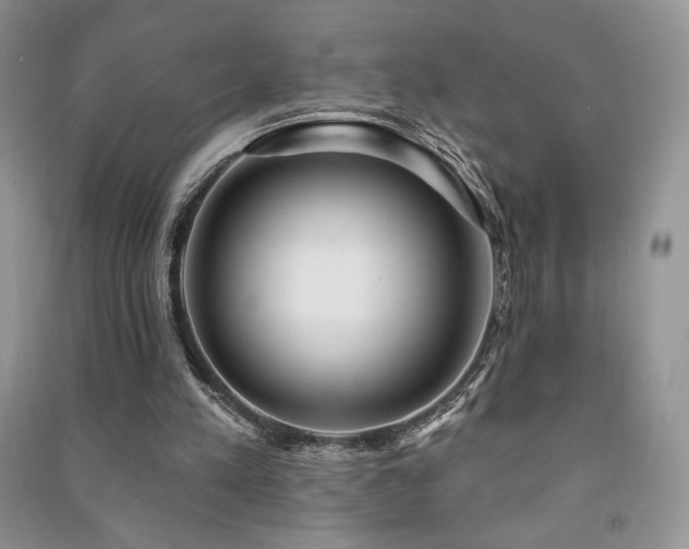 X0000091210197200708091354