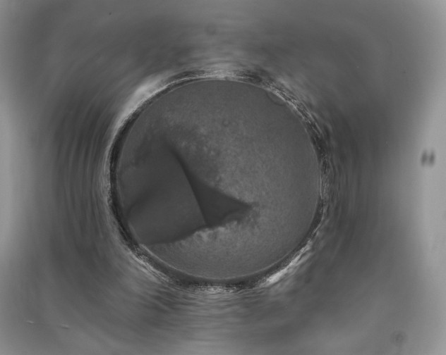 X0000091210198200708091354