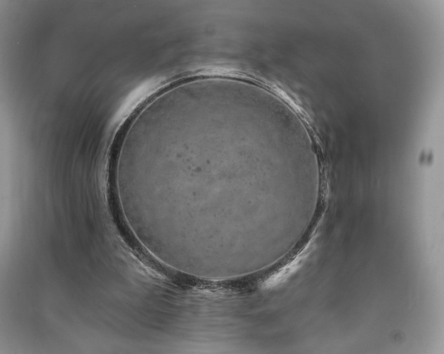 X0000091210199200708091354