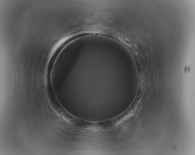 X0000091210200200708091354