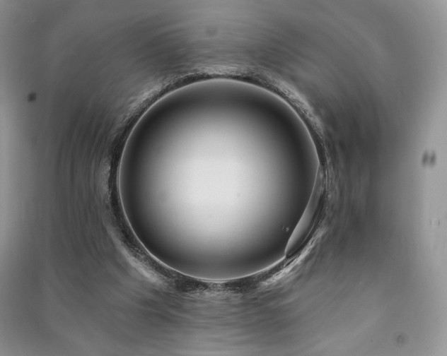 X0000091210201200708091354