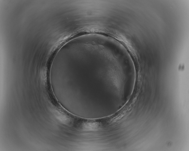 X0000091210202200708091354