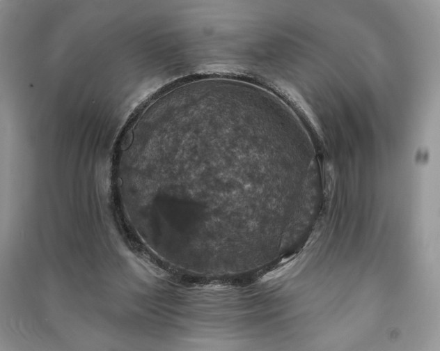 X0000091210204200708091354