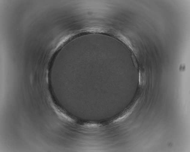X0000091210205200708091354