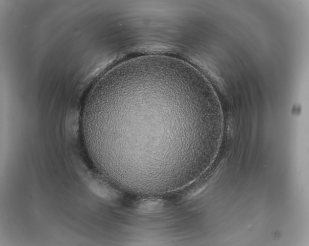 X0000091210206200708091354