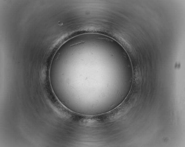 X0000091210208200708091354