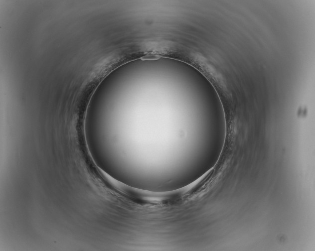 X0000091210209200708091354