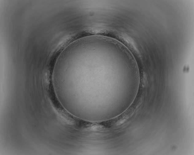 X0000091210210200708091354