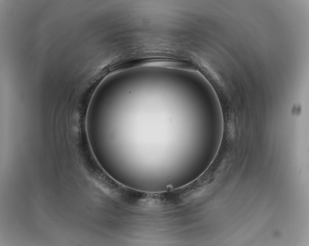 X0000091210211200708091354