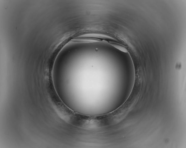 X0000091210212200708091354