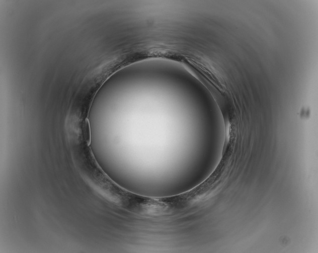 X0000091210215200708091354