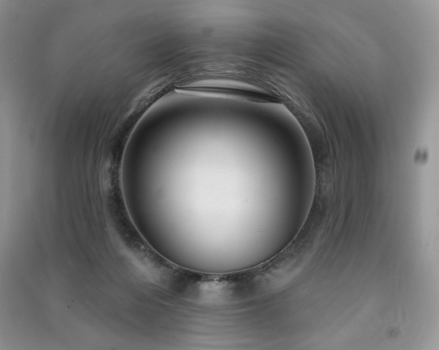 X0000091210216200708091354