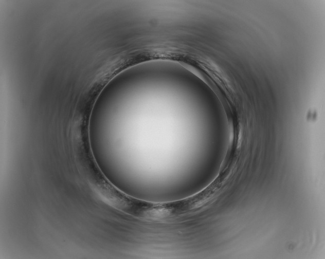X0000091210217200708091354