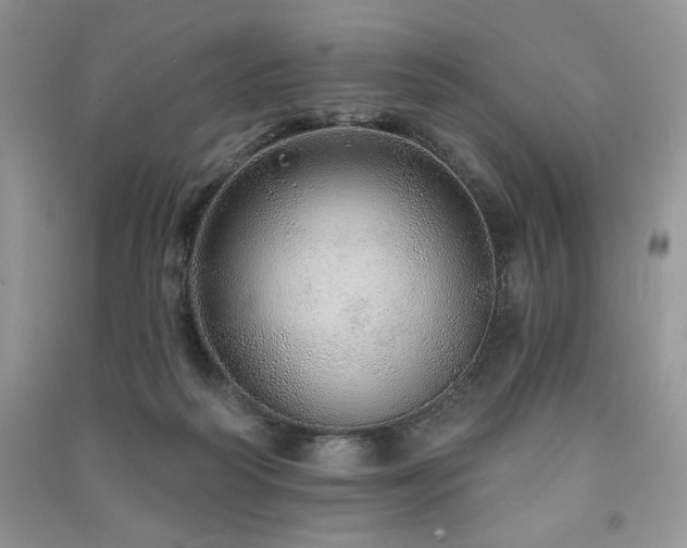 X0000091210218200708091354