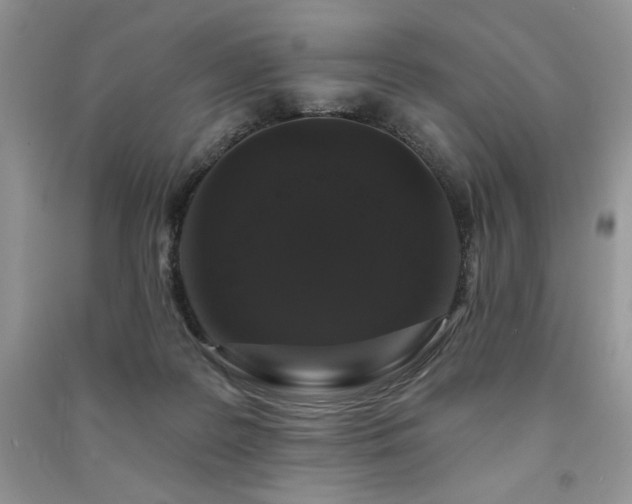X0000091210219200708091354