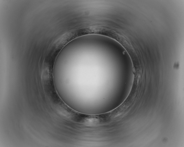 X0000091210220200708091354
