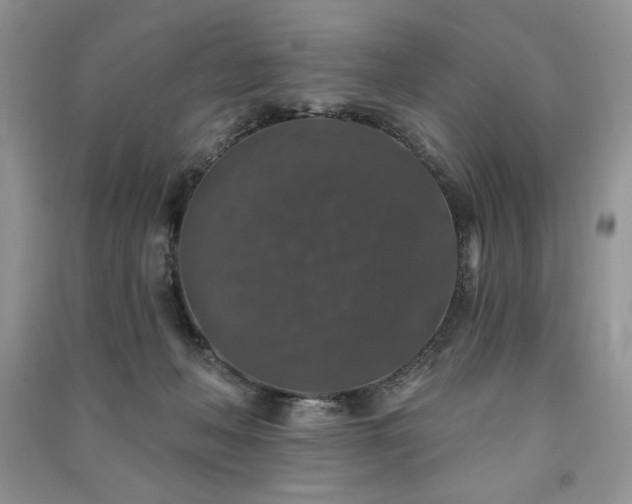 X0000091210222200708091354