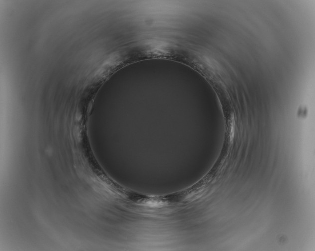 X0000091210223200708091354