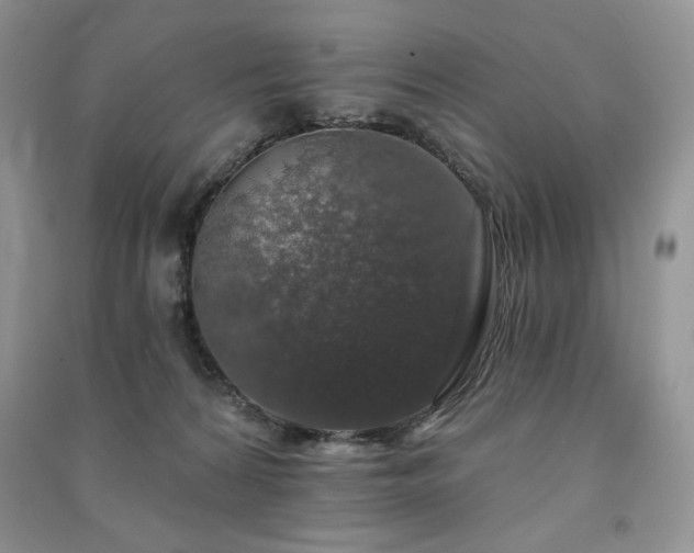 X0000091210224200708091354