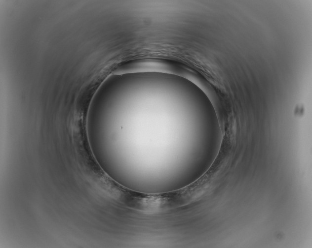 X0000091210225200708091354