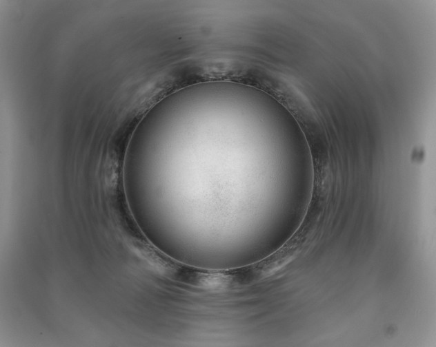X0000091210226200708091354
