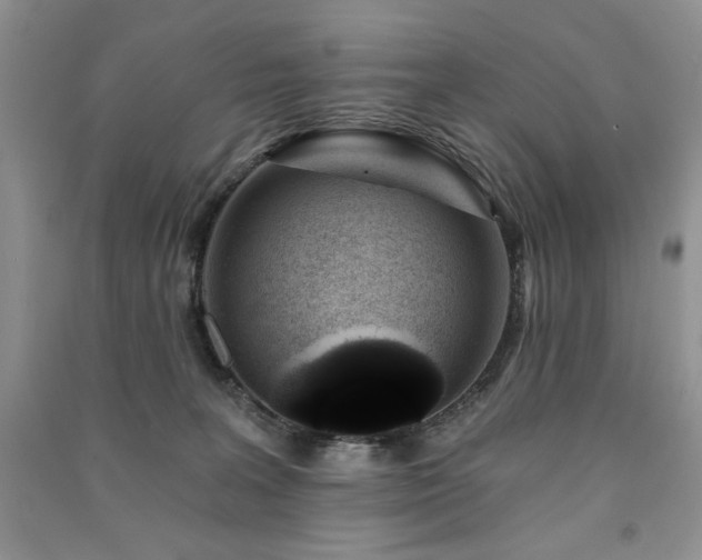 X0000091210227200708091354