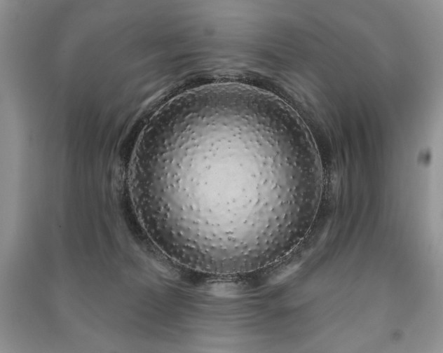 X0000091210228200708091354